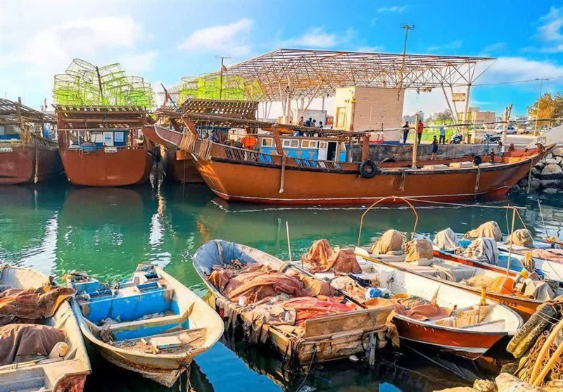 وضعیت جوی و دریایی نسبتاً آرامی برای استان بوشهر پیشبینی میشود