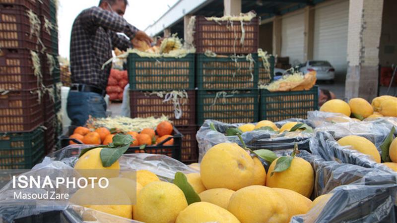 افزایش نظارتها بر بازار میوه و ترهبار زنجان