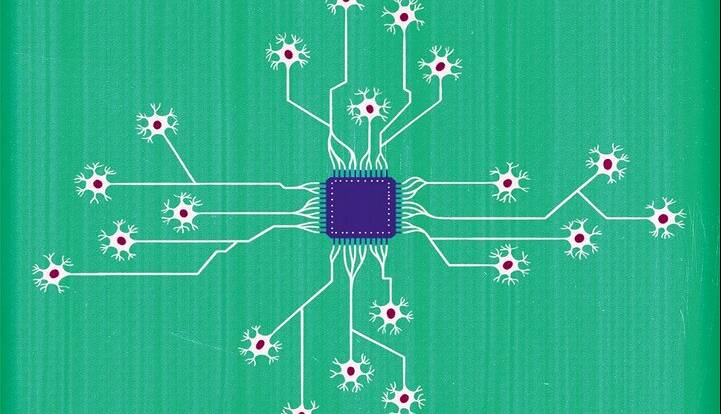 از رایانههایی که با سلولهای مغز انسان کار میکنند، چه میدانید؟