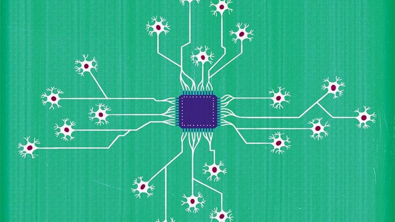 از رایانه‌هایی که با سلول‌های مغز انسان کار می‌کنند، چه می‌دانید؟