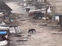 بارش شدید در غزه؛ چادرهای آوارگان فلسطینی غرق آب شد