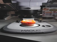 پوست میوه‌ی نشسته، زیر عدسی میکروسکوپ