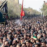 نقل عشق با نخل عاشقی در یزد