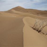 ظرفیت‌های لوت به کارت سرمایه‌گذاری تبدیل شد