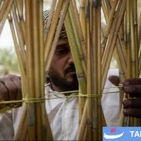 مضیف، نماد مهمان‌نوازی