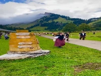 بازگشت رنگارنگ دام‌ها از ارتفاعات آلپ