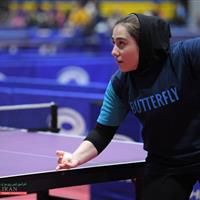 بیش از ۵۰۰ ورزشکار زنجانی در رشته تنیس روی میز فعالیت میکنند