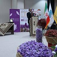 زعفران قائنات، سرمایه هویتی و اقتصادی خراسان جنوبی