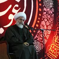 کارشناس مذهبی: انقلاب اسلامی مهاجرت از تکاثرگرایی به سبک زندگی کوثری است