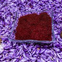 زعفران قاینات، نماد و افتخار جمهوری اسلامی ایران در جهان است