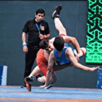 دوره کارآموزی و بازآموزی داوران کشتی از هفت استان کشور در قم