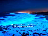  نورپردازان زنده اقیانوس ها