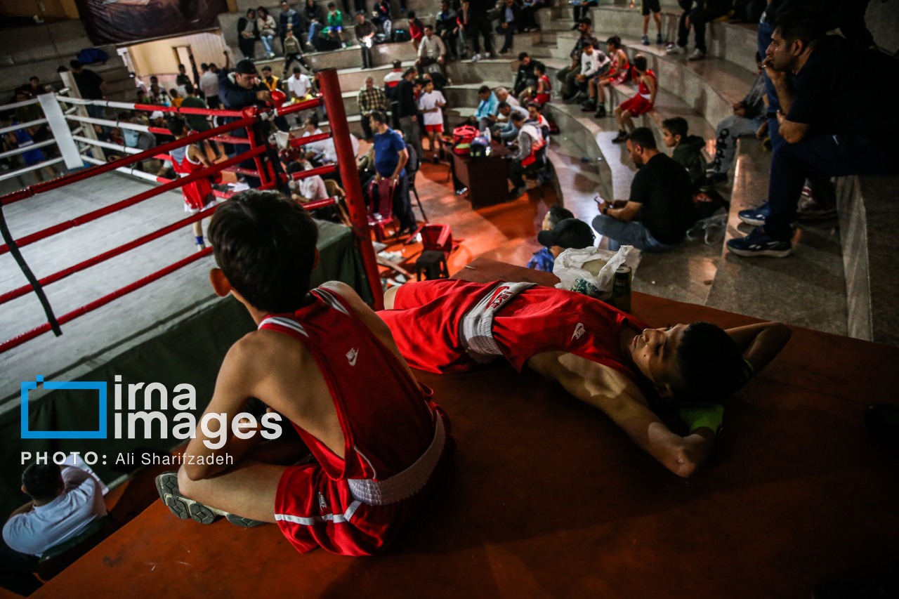 مسابقات بوکس نونهالان