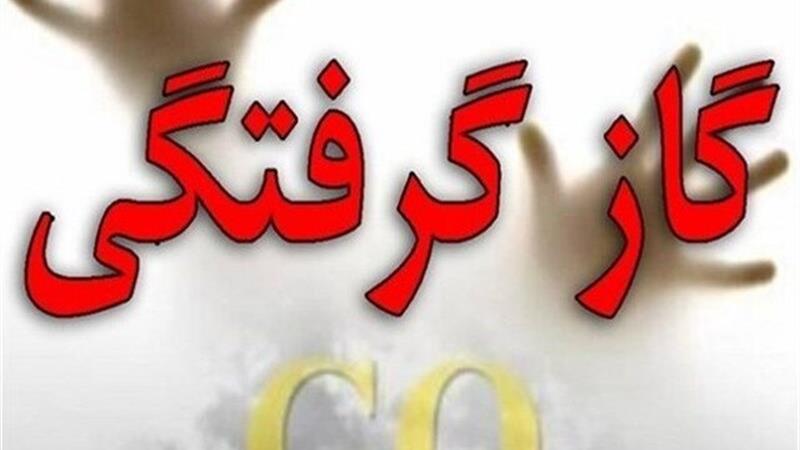 گازگرفتگی ۱۰ نفر از اهالی از روستایی در تفرش