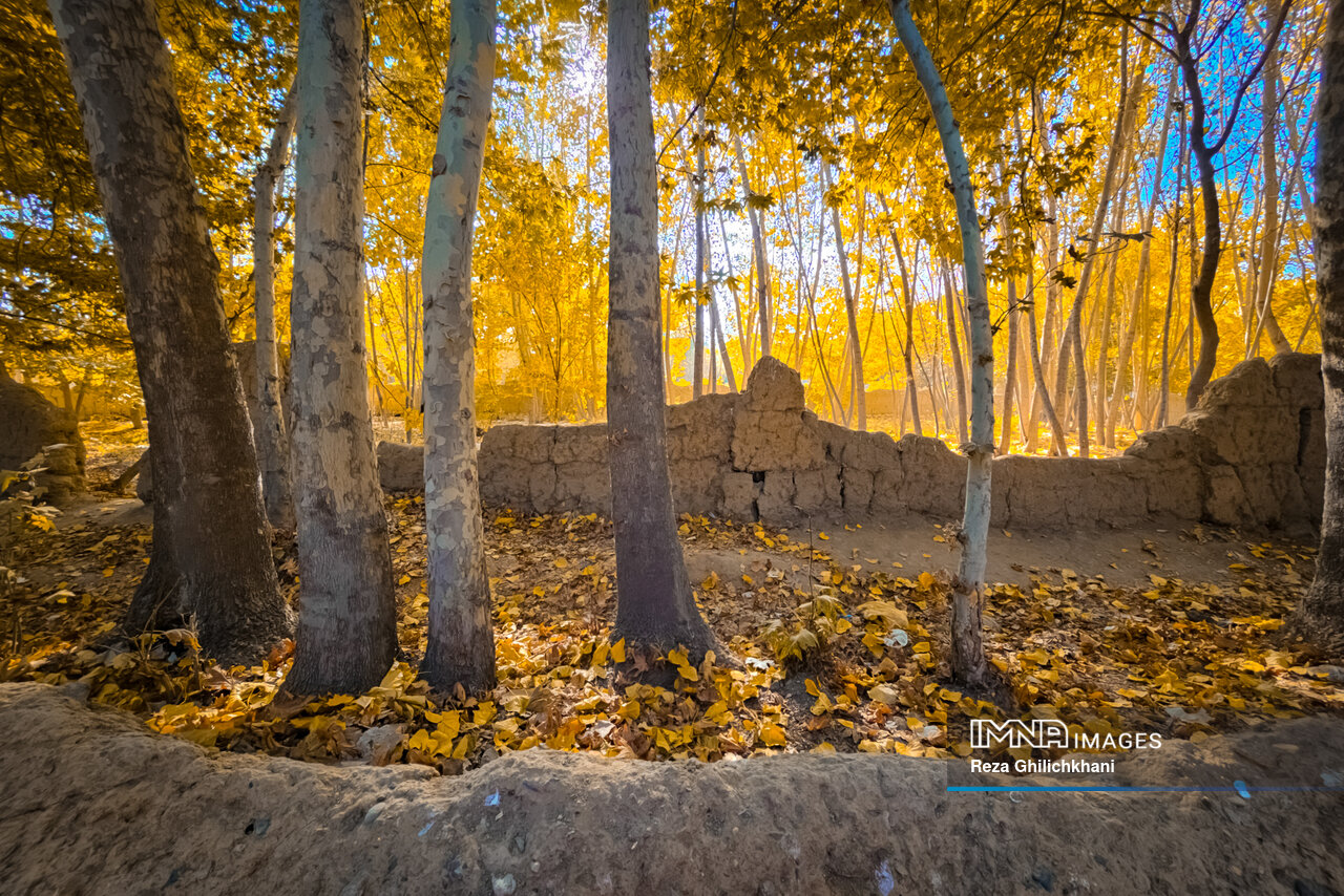 پاییز هزار رنگ باغبادران