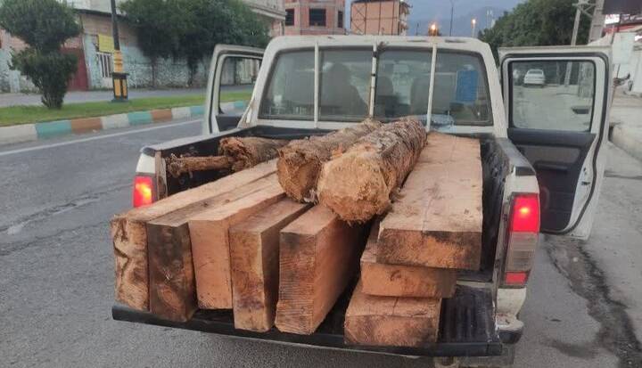 کشف محموله چوبهای قاچاق در حکیمآباد آققلا با هوشیاری مردم