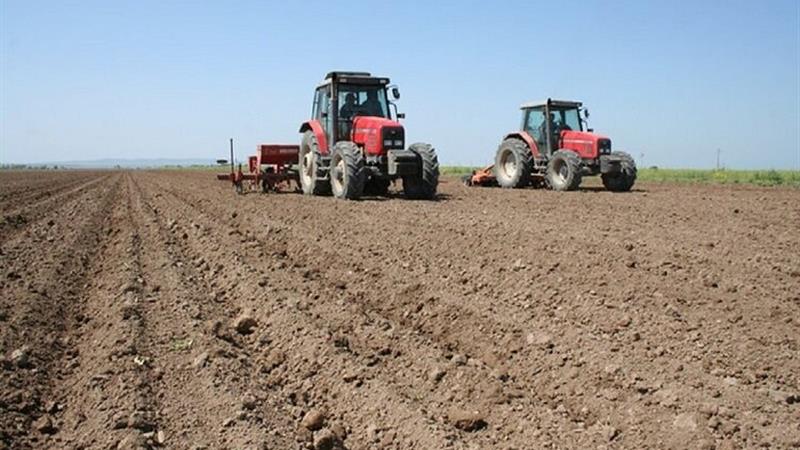 هشدار کارشناسان نسبت به عجله در کشت دیم در کردستان