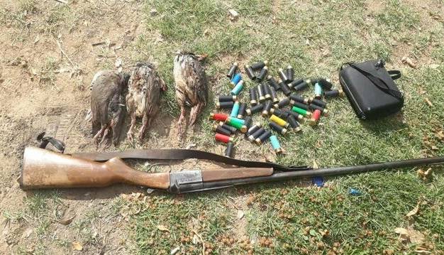 شکارچیان متخلف در دام یگان حفاظت محیط زیست زابل