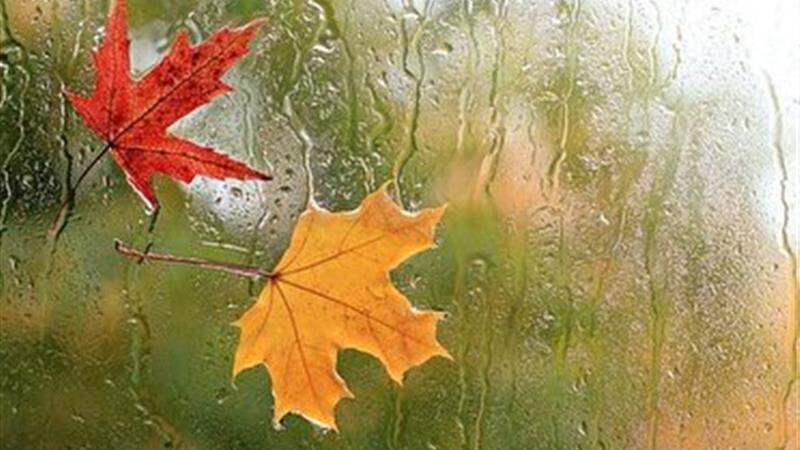 چشم آسمان ایلام به آمدن اولیـن باران پاییزی، روشن شد