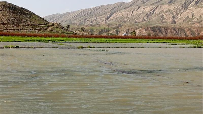 ساکنان عرب رودبار در انتظار تصمیم مسئولان برای تغییر شغل و زندگی