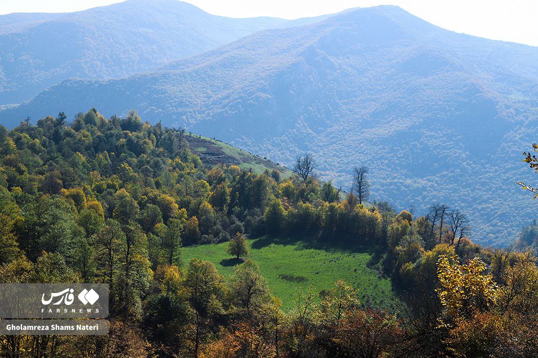 رخت پاییز بر تن جنگل‌های کلاردشت
