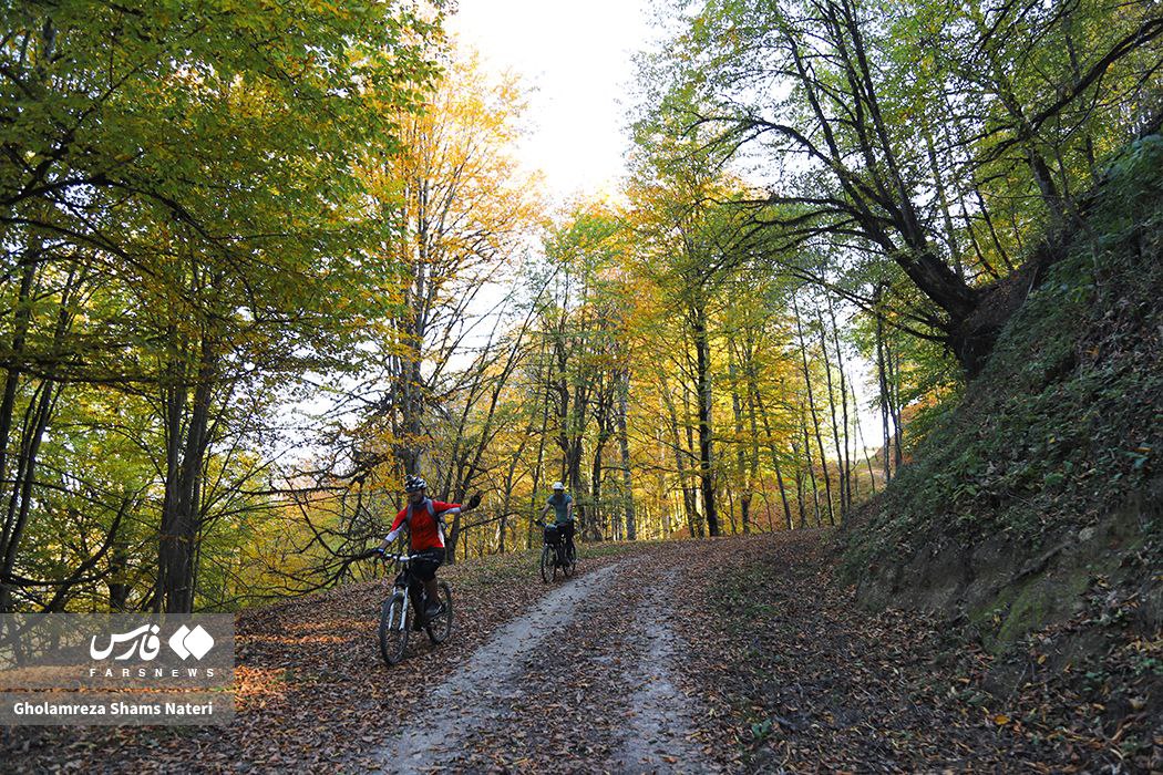 رخت پاییز بر تن جنگل‌های کلاردشت