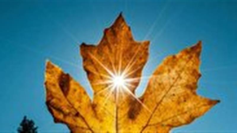 خواص آفتاب پاییزی