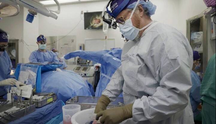 دانشمندان پسزدن پیوند اعضای خوک را مهار کردند