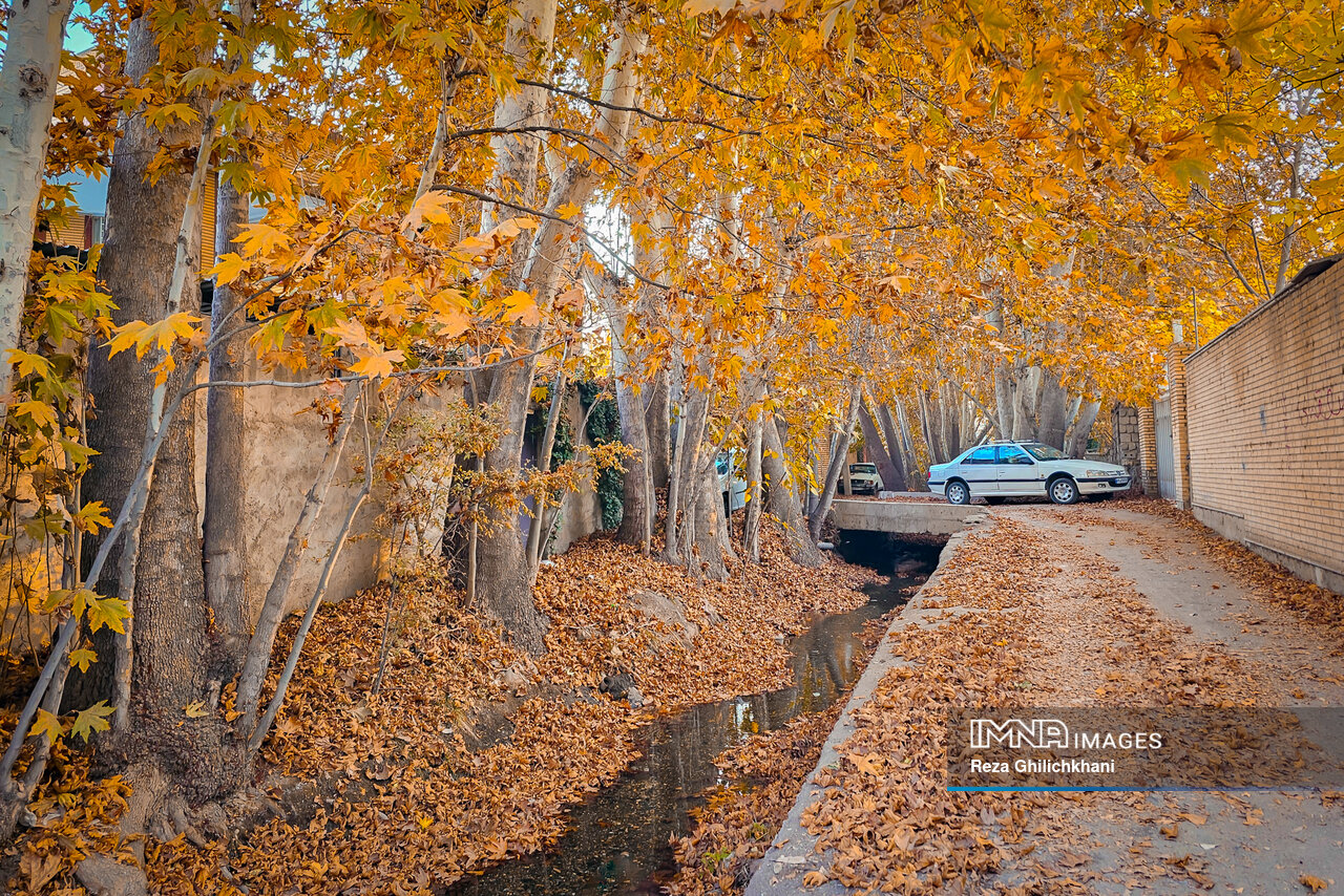 پاییز هزار رنگ باغبادران