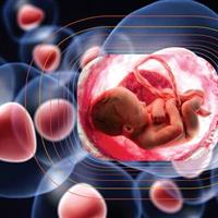 اهمیت ذخیرهسازی خون بندناف در آینده فرزندان