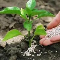 تداوم خشکسالی و ضرورت اصلاح الگوی کشت در گلستان