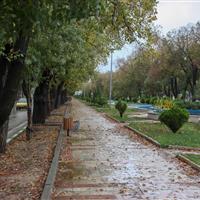 بیشترین بارندگی ایلام در ایوان ثبت شد