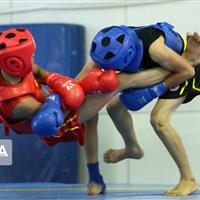 رییس هیات ووشو: تیم یزد آماده ورود قدرتمند به صحنه ملی است