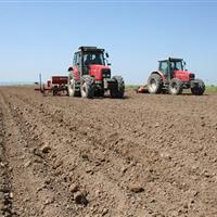 هشدار کارشناسان نسبت به عجله در کشت دیم در کردستان