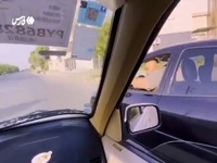 جولان شوتیها در آزادراه بیقانونی