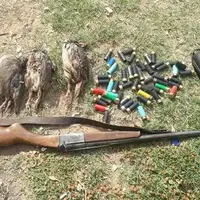 شکارچیان متخلف در دام یگان حفاظت محیط زیست زابل