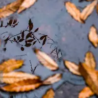 احتمال بارش خفیف و پراکنده در برخی نقاط فارس