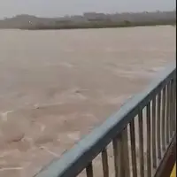 باران بارید؛ دجله پر آب شد