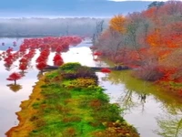 دریاچه الندان ساری