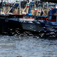 بندر انزلی ، دهمین بندر پر تردد ایران