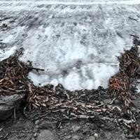 کشفی منحصربفرد با آب شدن یخ