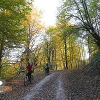 رخت پاییز بر تن جنگلهای کلاردشت