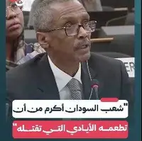 نطق آتشین نماینده سودان علیه امارات: نیازی به صدقههای شما نداریم!