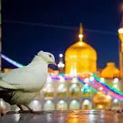 کسی دلتنگ از مشهد به مقصد برنمی گردد ...