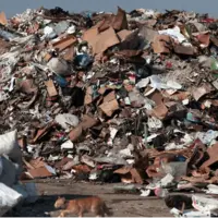 زبالههای سمی، سلاح جدید اسرائیل علیه فلسطینیان