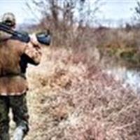 متخلف بومی در زنجان پیش از آغاز شکار دستگیر شد