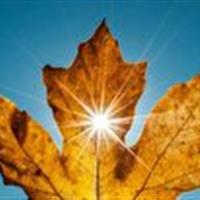 خواص آفتاب پاییزی