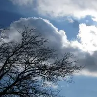 هواشناسی وقوع مه دود فتوشیمایی در آسمان گیلان را رد کرد