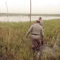 «دام هوایی» شیوه جدید شکارچیان غیرمجاز در آستانهاشرفیه