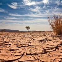 مدیرعامل آب منطقهای یزد: کاهش بارندگیها در فلات مرکزی تنها یک هشدار اقلیمی نیست